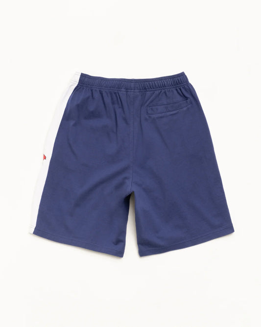 STUSSY STRIPE JERSEY SHORT BLUE