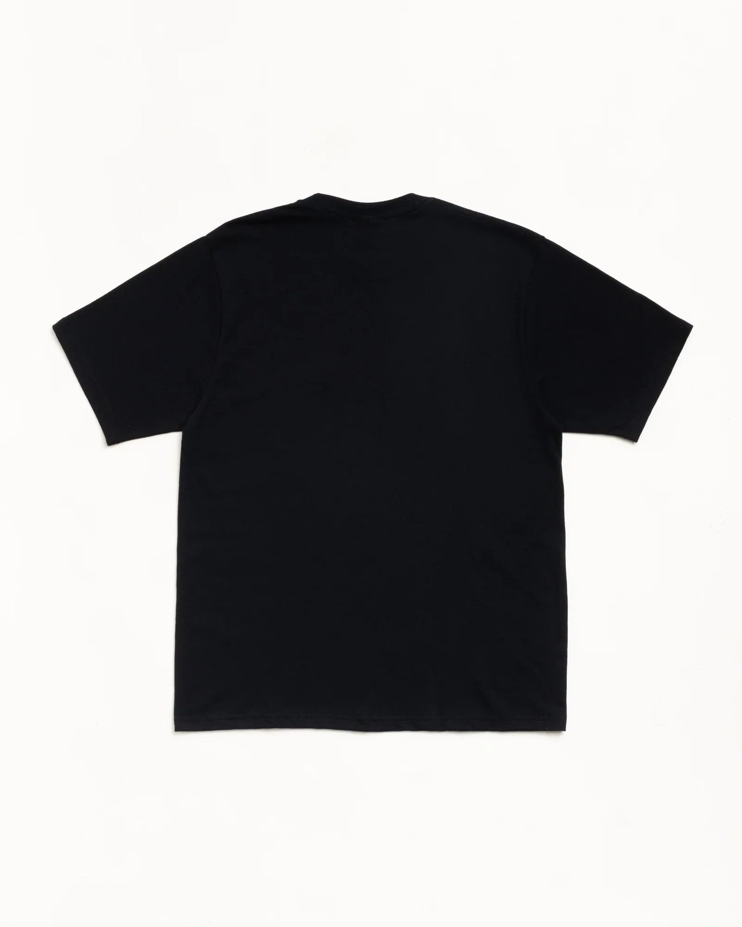 STUSSY CITRUS TEE