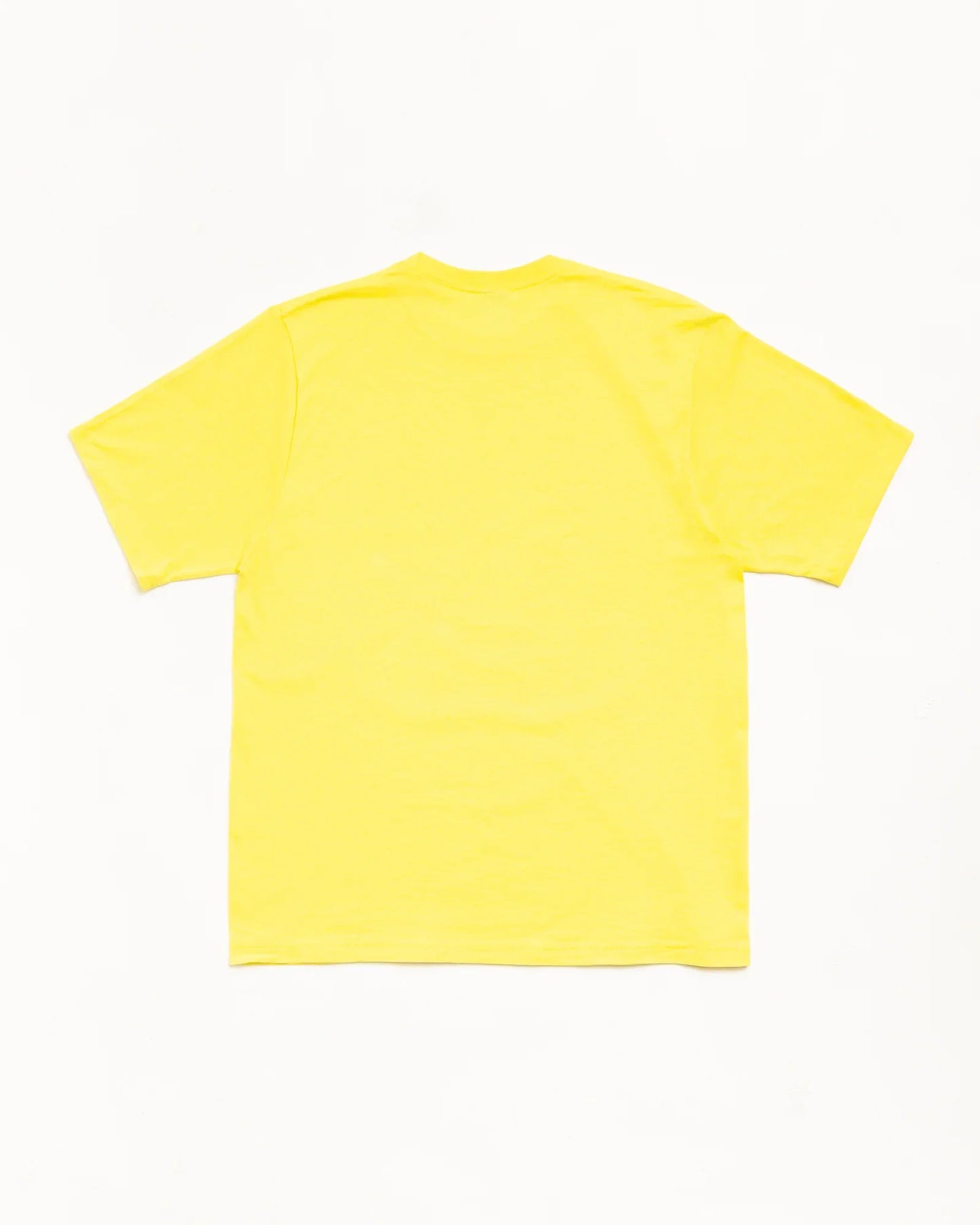 STUSSY CITRUS TEE