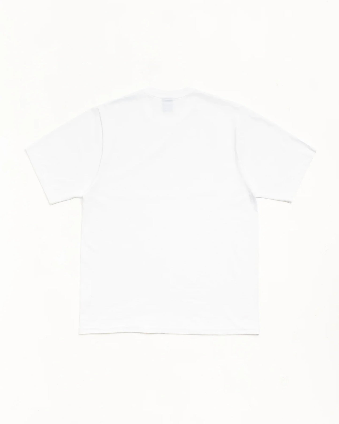 STUSSY CITRUS TEE